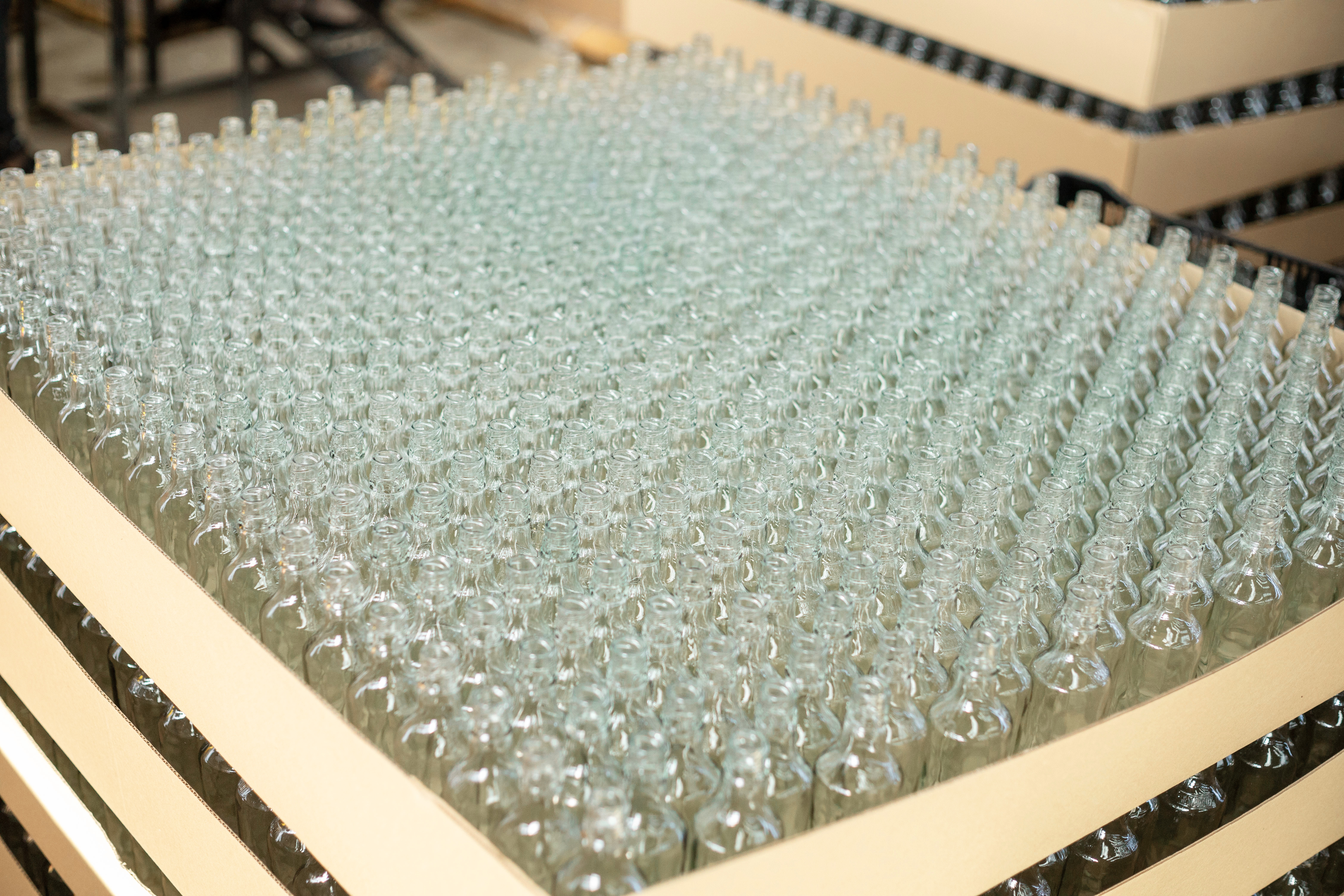 Reusable Bottles Collection